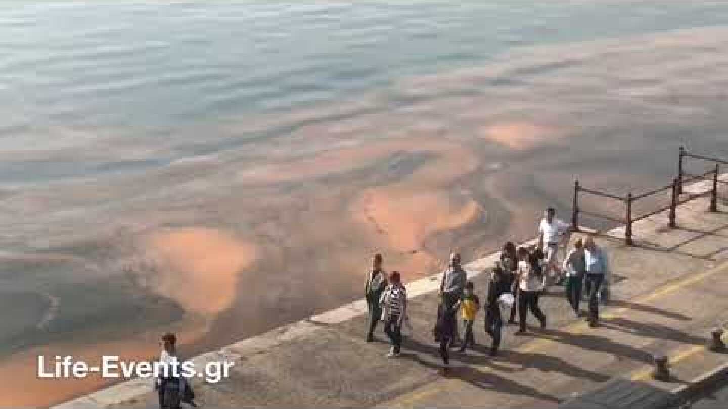 Ο Θερμαϊκός έγινε καφέ