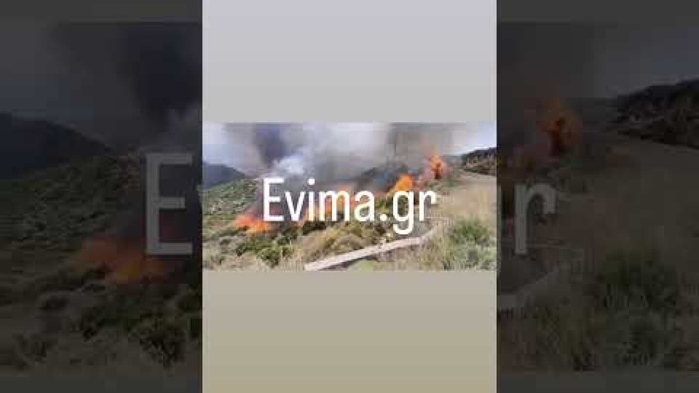 Φωτιά στην Κάρυστο