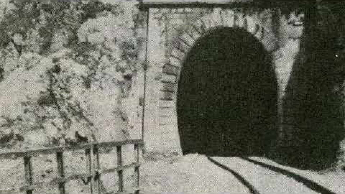 The Balvano railway tragedy, 3 March 1944.  The worst train disaster ever in Italy.