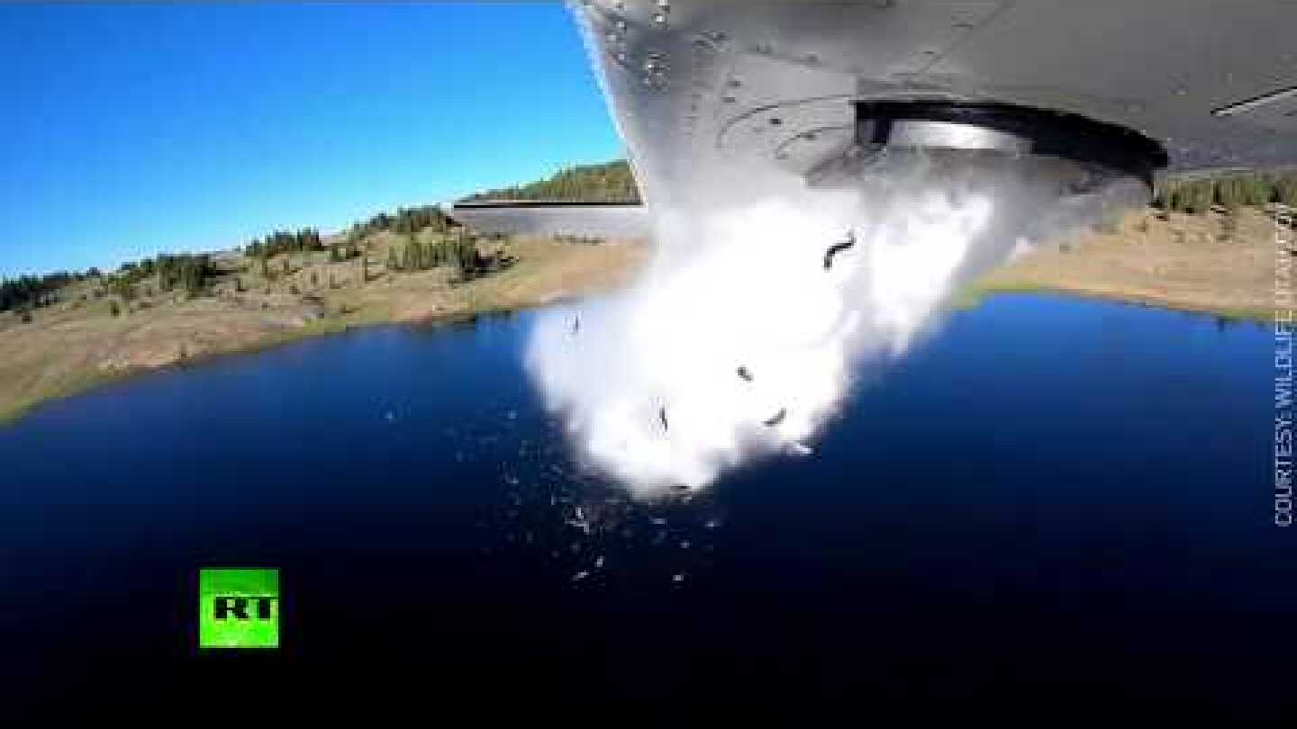 It’s raining fish! Utah’s high-mountain lake safely stocked with trout from the air
