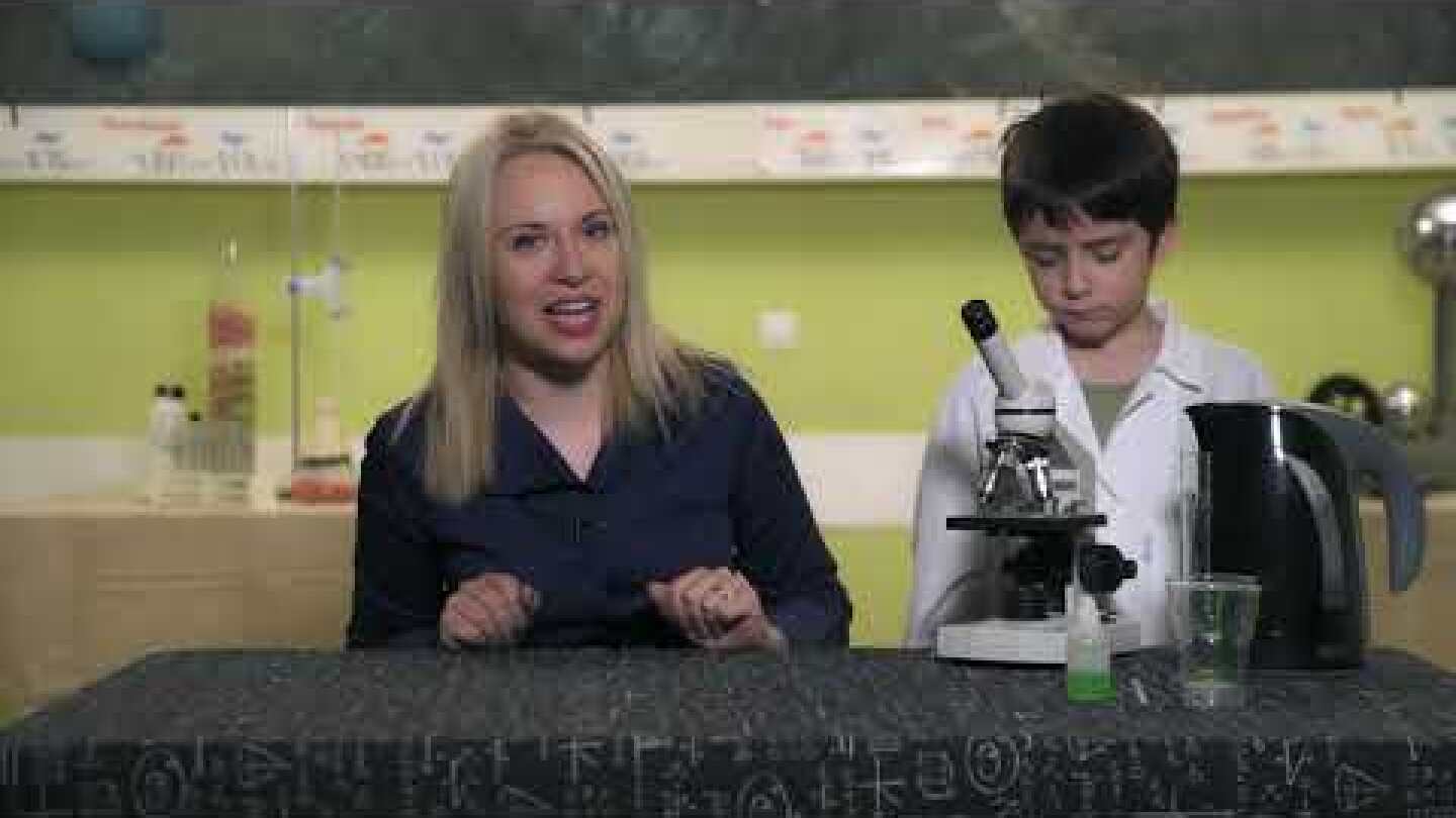 Ψάχνοντας το DNA μας από το Μουσείο Πειραμάτων | Επεισόδιο 3