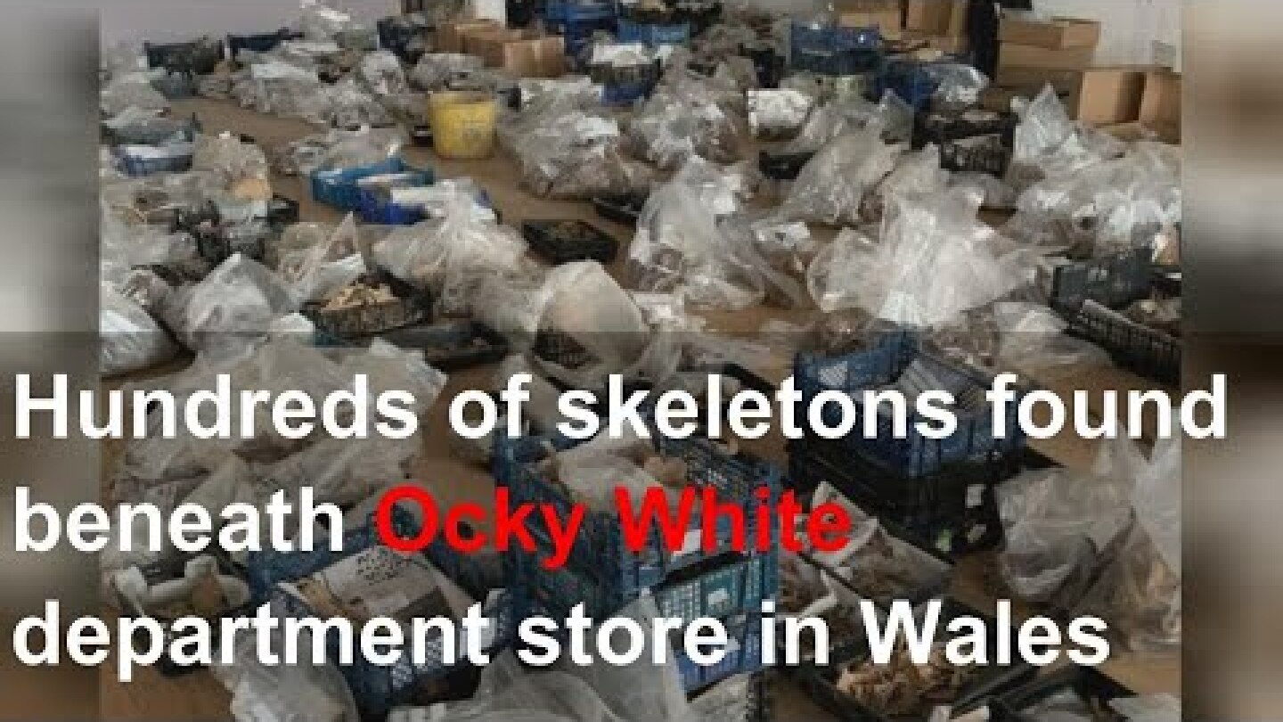 Hundreds of skeletons found beneath Ocky White department store in Wales