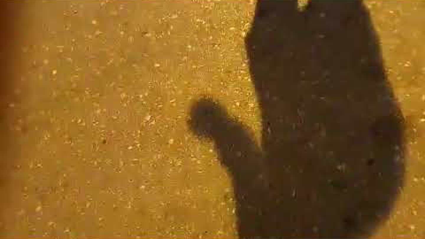 Tempo24 - Τροχαιο