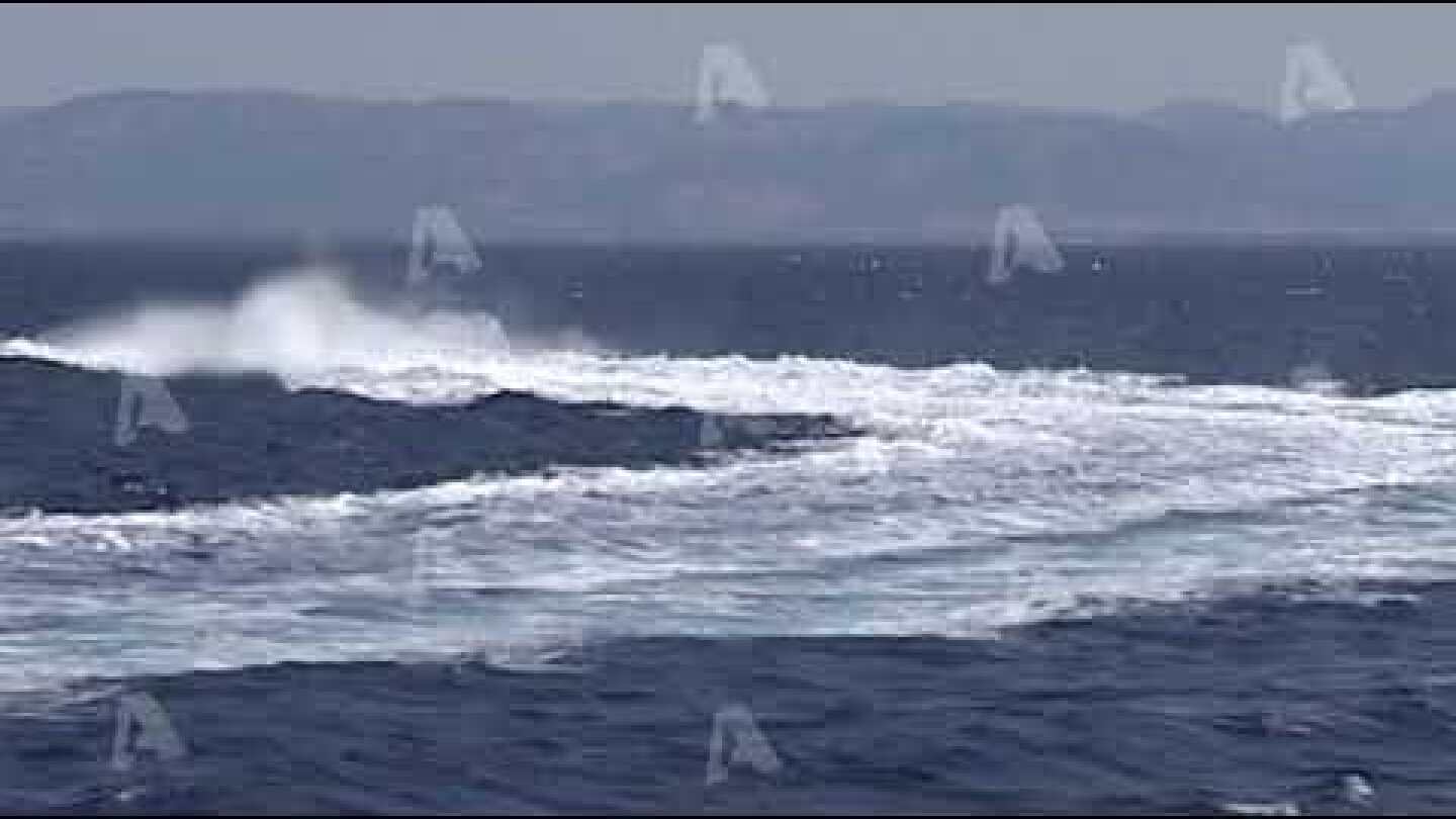 ΜΑΡΤΥΡΑΣ ΑΠΟΚΑΛΥΠΤΕΙ: ΑΝΑΓΝΩΡΙΣΑ ΤΟΥΣ ΔΡΑΣΤΕΣ ΤΗΣ ΔΟΛΟΦΟΝΙΑΣ…