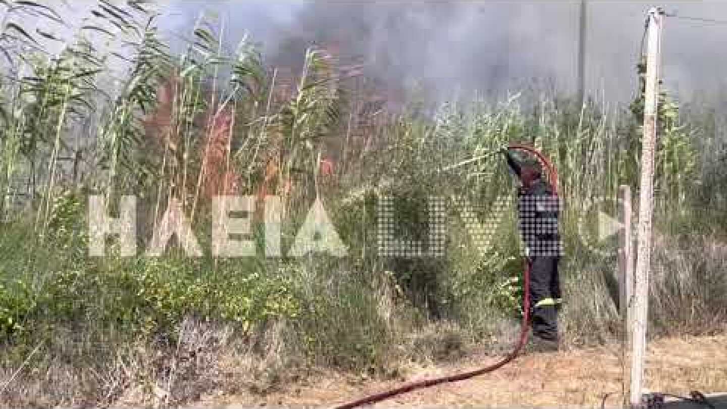 ilialive.gr - Στις φλόγες ξανά η Σπιατζα