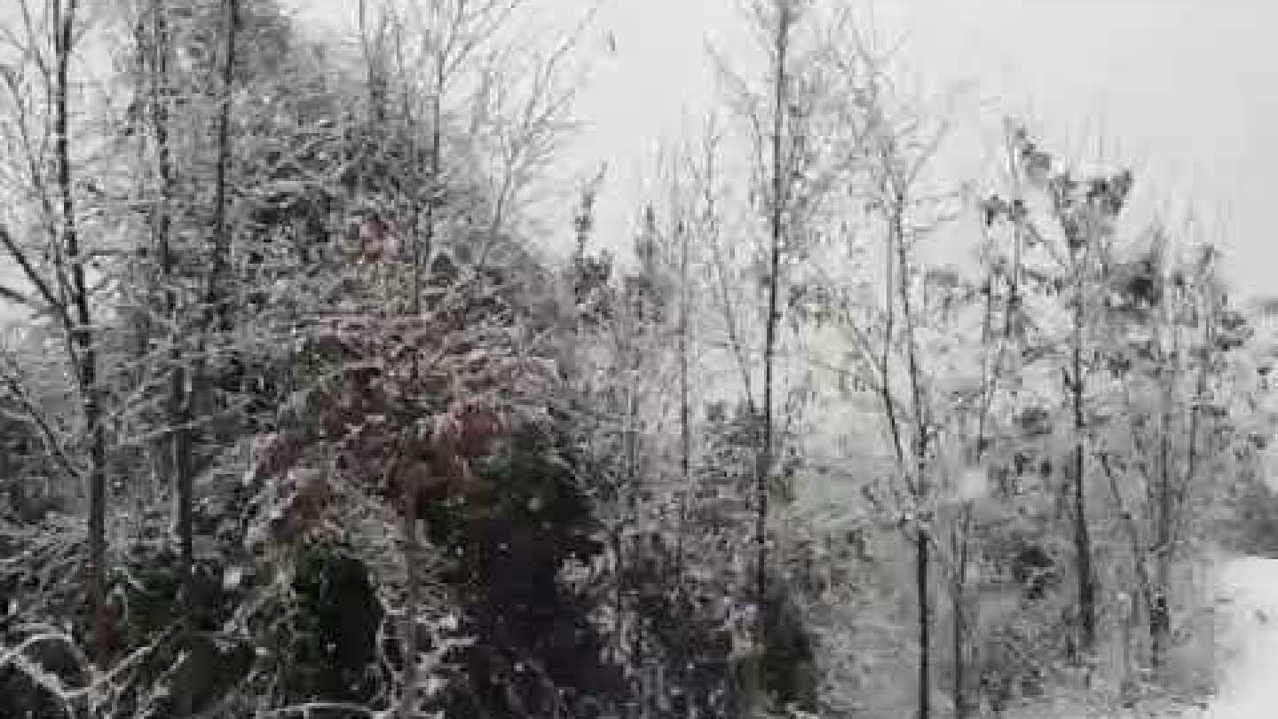 Χιονόπτωση στη Μονή Αγίου Προκοπίου