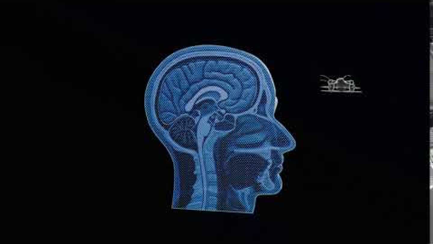 SS-4 "Stinger" Anti-Personnel System