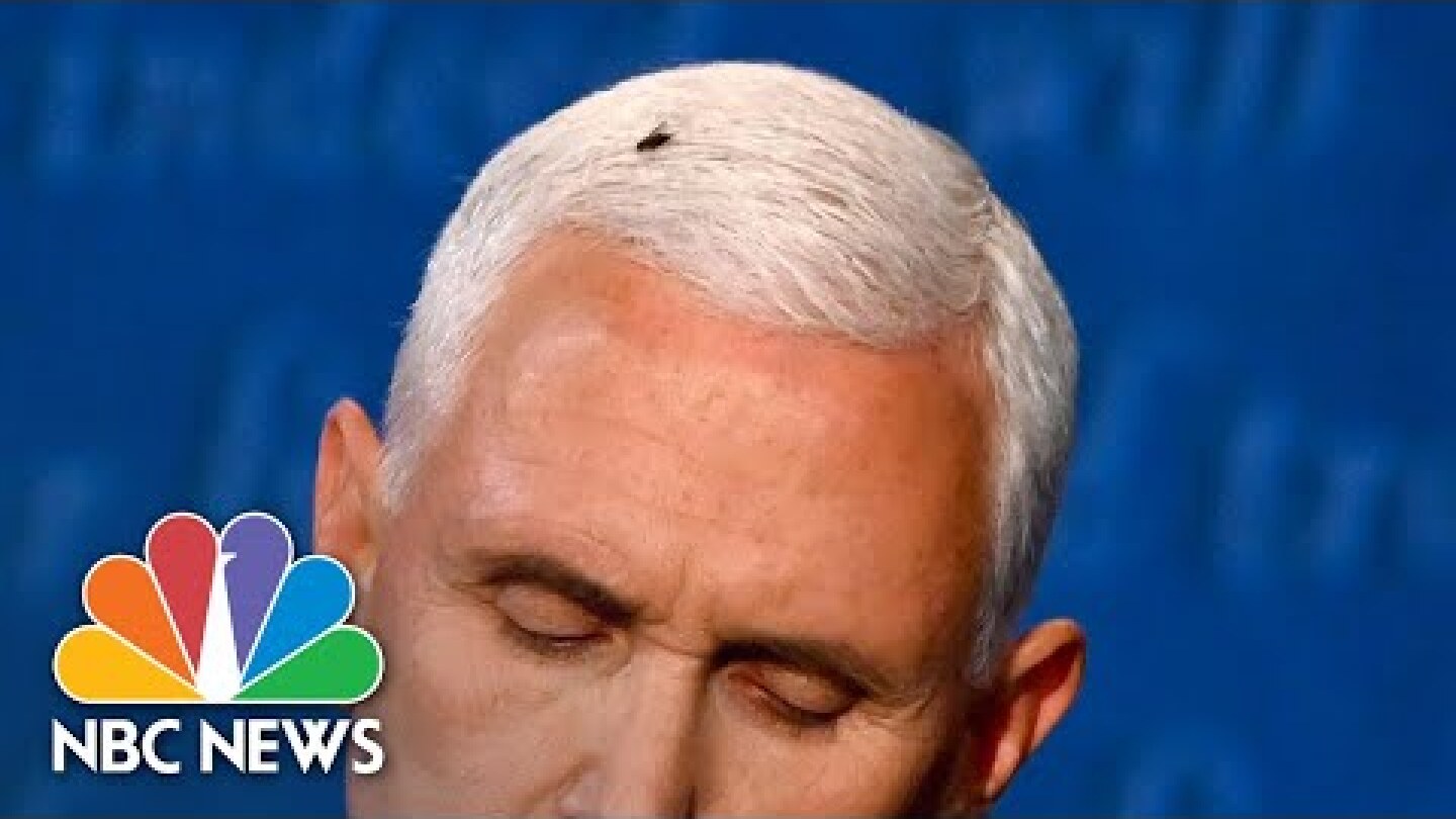 Fly Lands On Pence’s Head, Temporarily Steals Show of 2020 VP Debate | NBC News