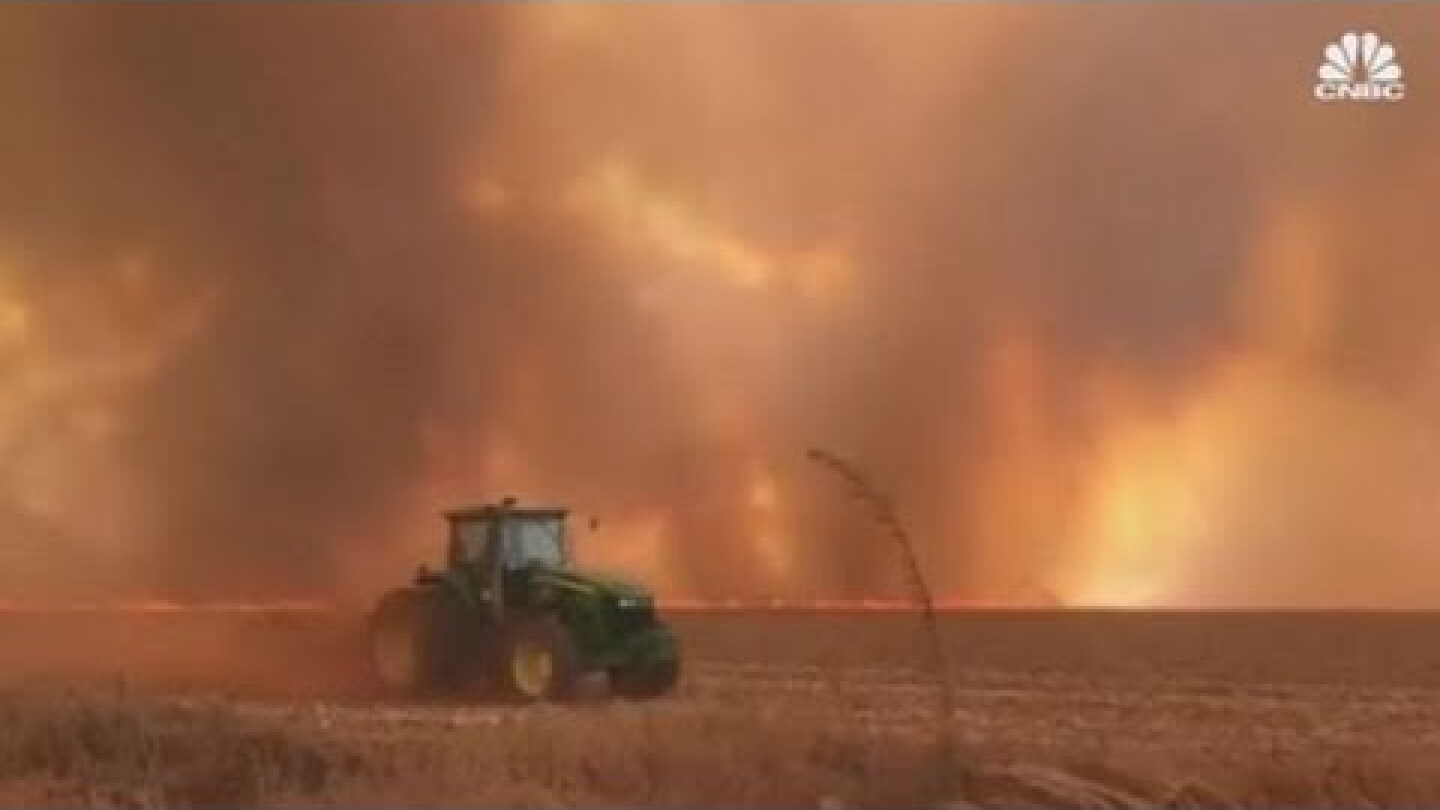 Record-breaking number of fires burn in Brazil's Amazon