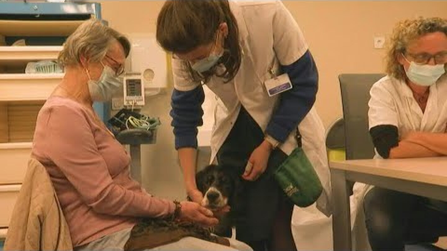 Snoopy, the Curie Institute's new canine recruit, delights patients and carers | AFP