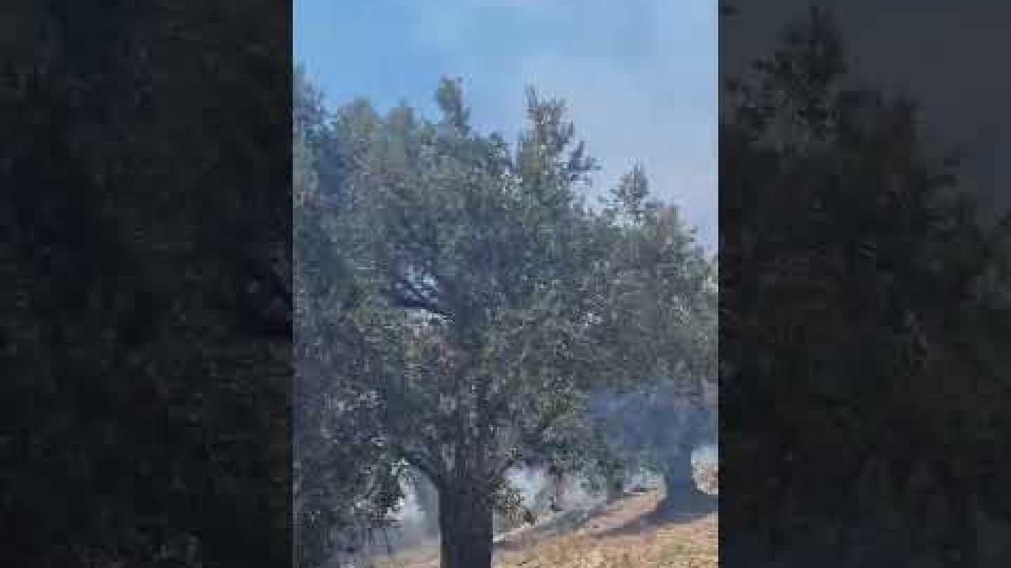 Μεγάλη φωτιά στον Δήμο Αγίου Βασιλείου