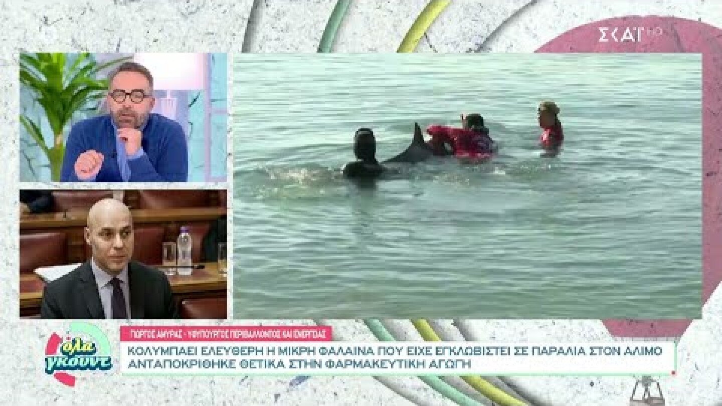 Αισιόδοξα τα τελευταία νέα για την τραυματισμένη φάλαινα – Τι αναφέρει ο Γ. Αμυράς από τη Σαλαμίνα