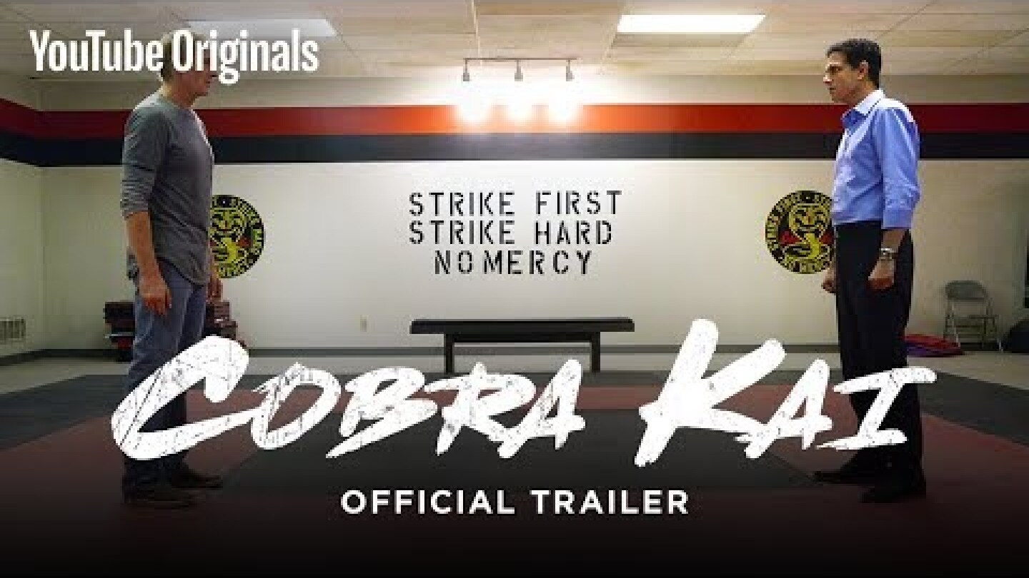 Official Cobra Kai Trailer - The Karate Kid saga continues