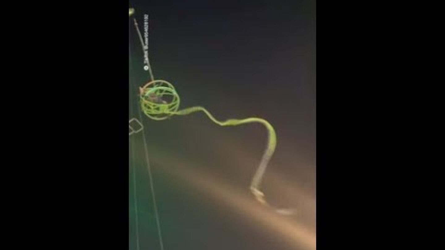 Horrifying moment “Slingshot” ride snaps with passengers inside