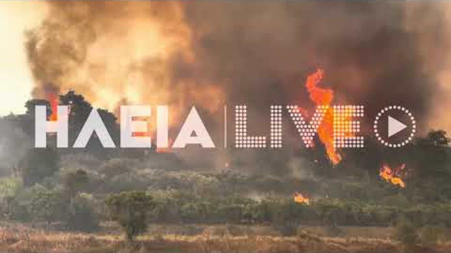 Πυρκαγια στο Φραγκοπηδημα