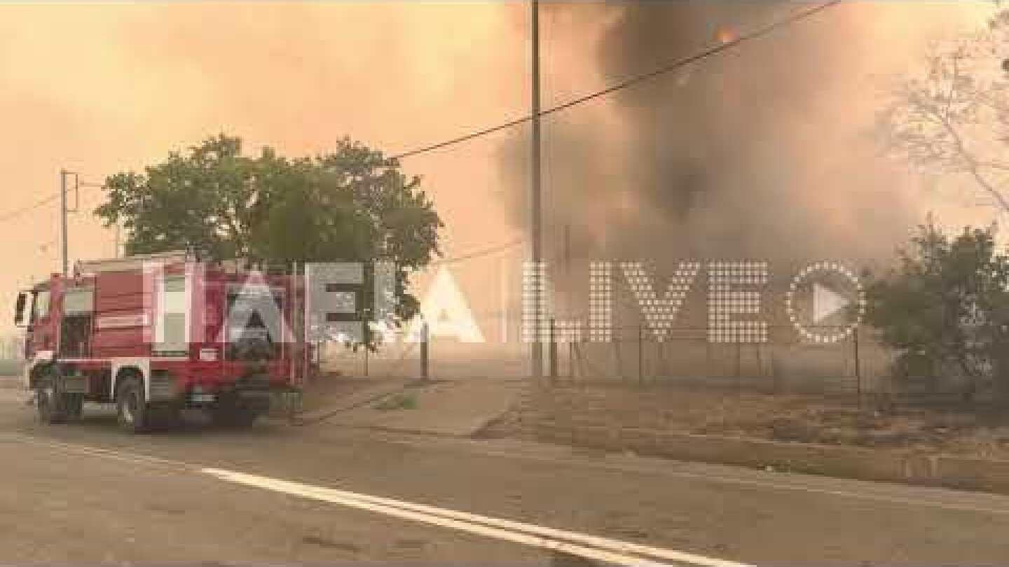 ilialive.gr - Στις φλόγες το Λαλα