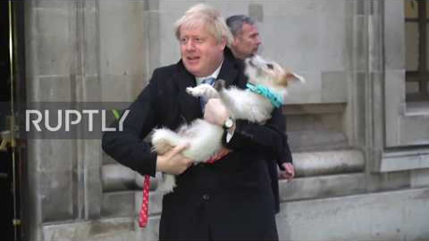 UK: Boris Johnson gives dog Dilyn a big kiss after casting vote in UK general election