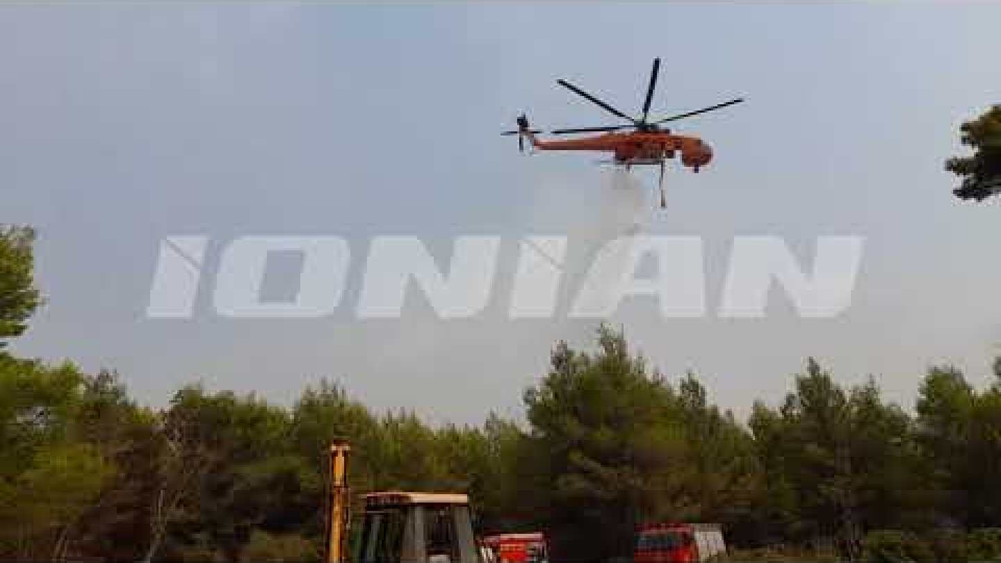 Ηλεία | Μάχη με τις αναζωπυρώσεις στον Λάλα