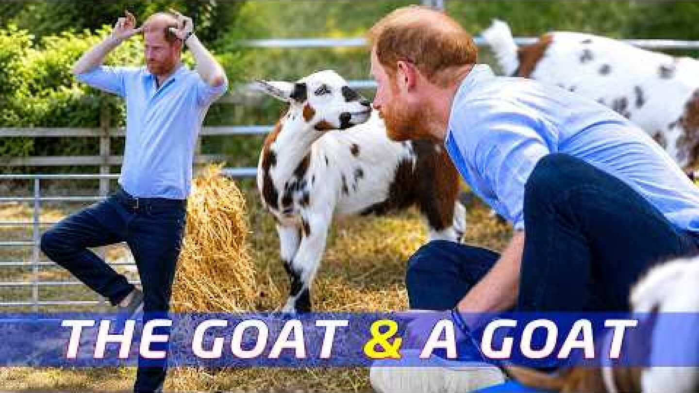 Prince Harry Brings Joy to Scotty’s Summer Festival ❤️🐐