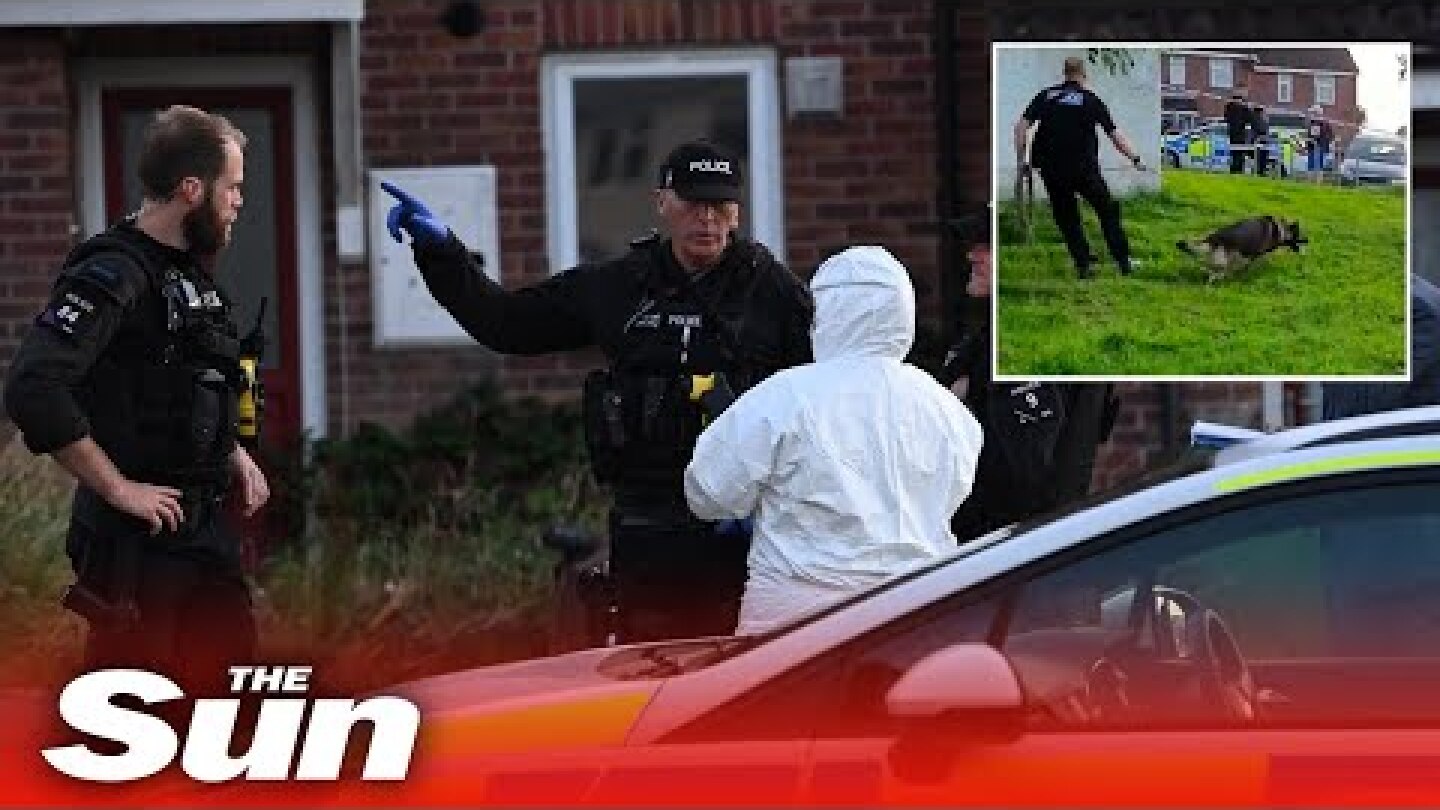 Plymouth shooting – Several confirmed dead after ‘serious firearms incident’