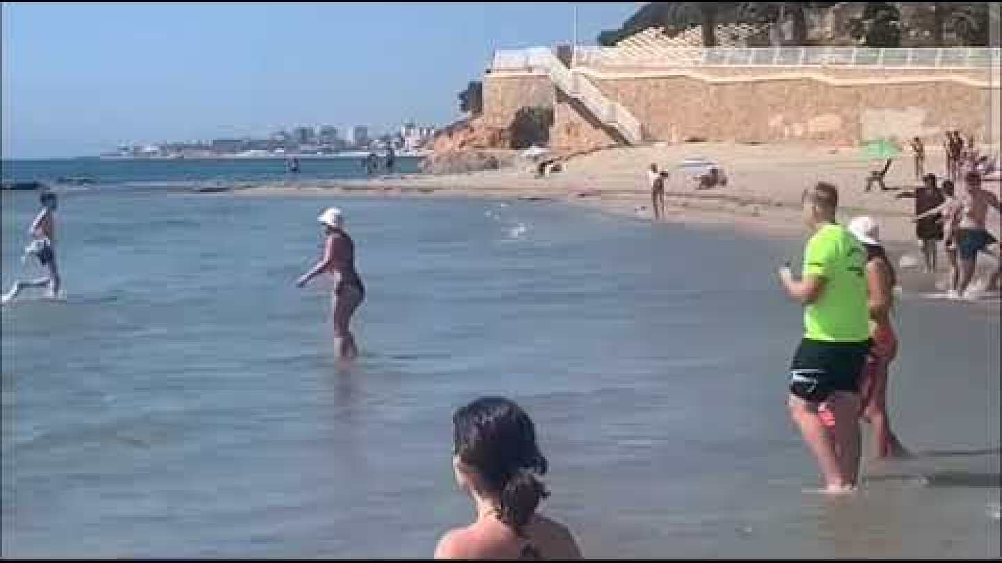 Shark attack Alicante Spian