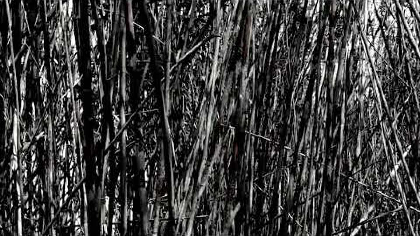 Spell (Rattle records, 2018)