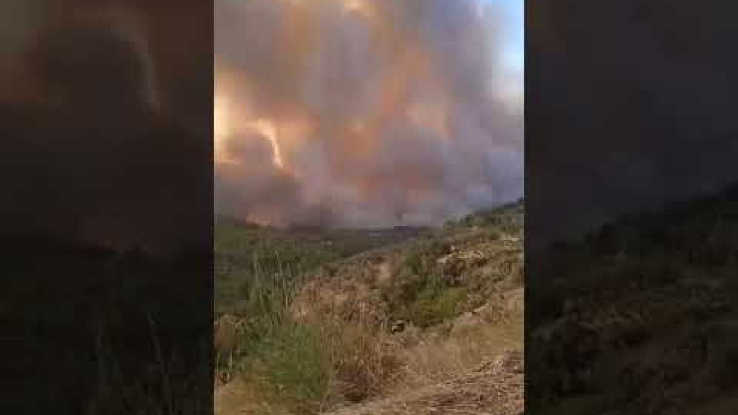 Αναξελεγκτη φωτια στη Δάφνη Εύβοιας