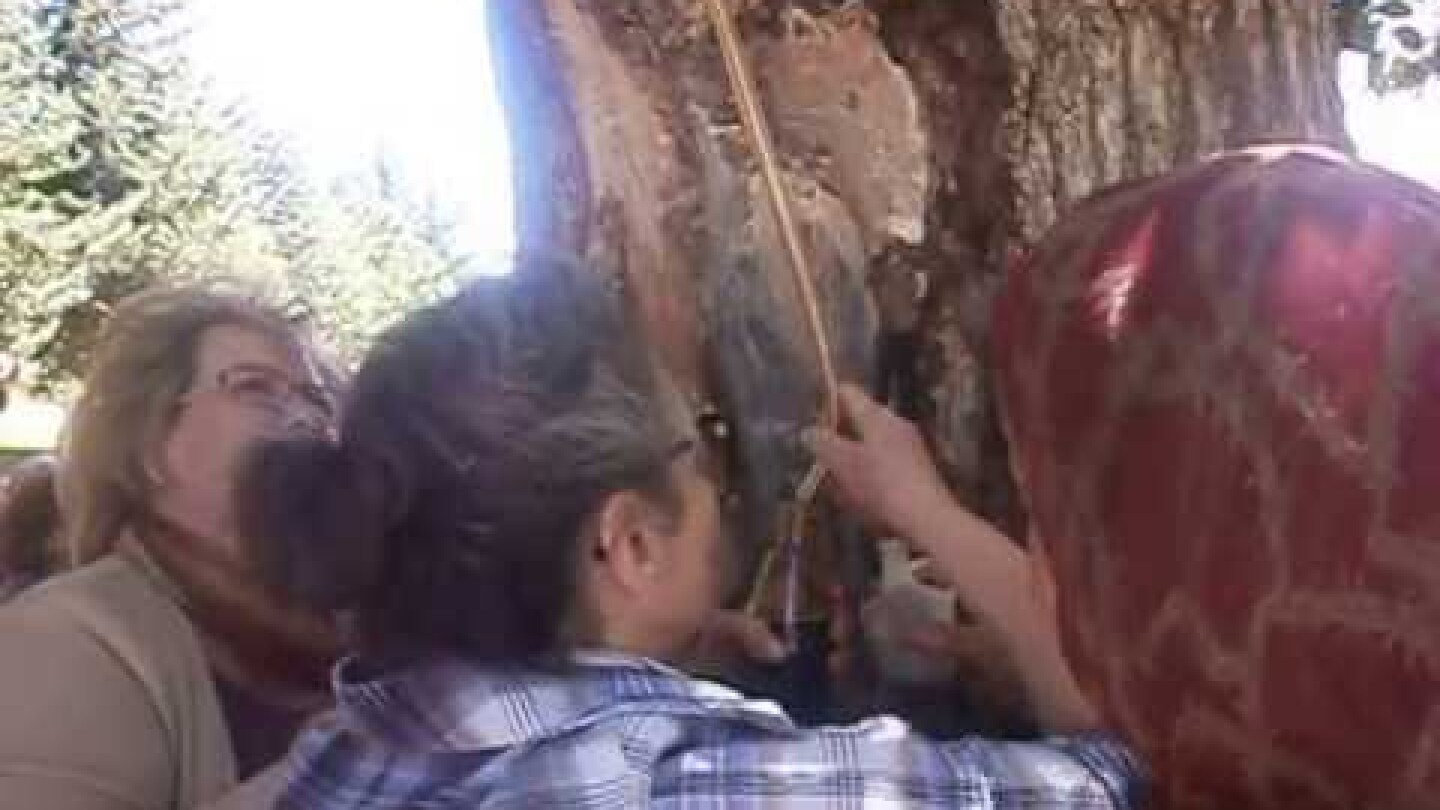 ΤΟ ΘΑΥΜΑ ΤΟΥ ΑΓΙΟΥ ΝΙΚΟΛΑΟΥ ΕΝ ΒΟΥΝΑΙΝΟΙΣ