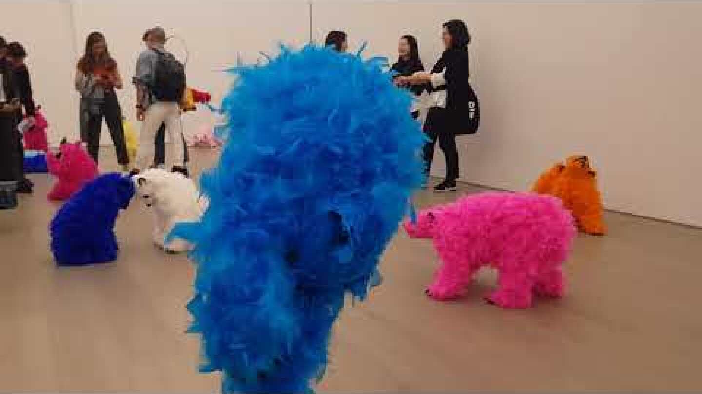 Paola Pivi - Perrotin gallery, New York 2019