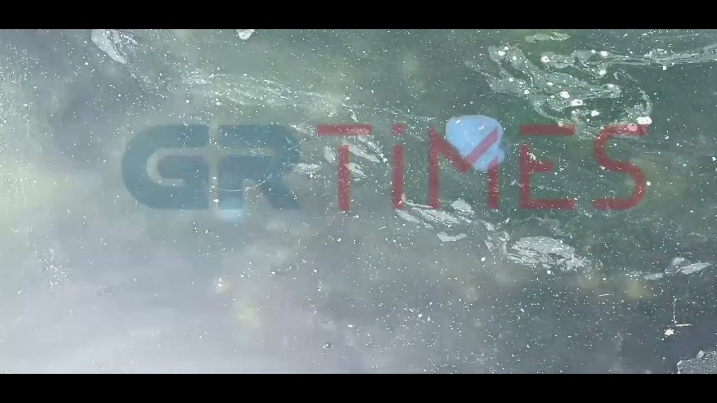 Μπλε μέδουσες στην παραλία της Θεσσαλονίκης