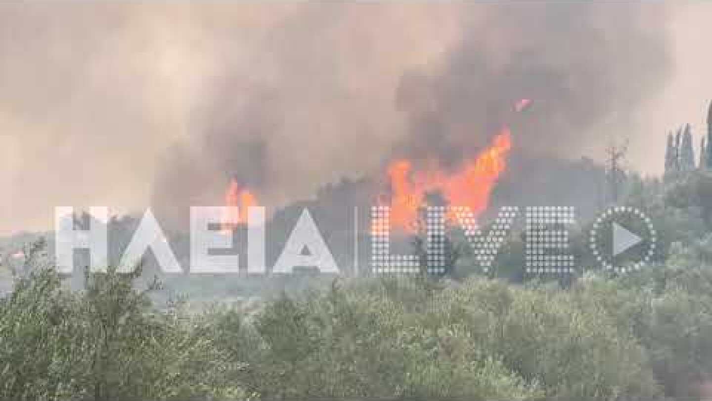 ilialive.gr - Πλησιάζει τον Κρόνιο Λόφο η πυρκαγιά