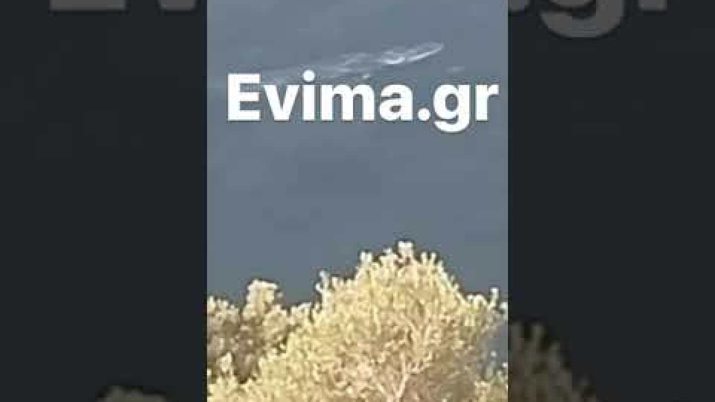 Φάλαινα στην Εύβοια