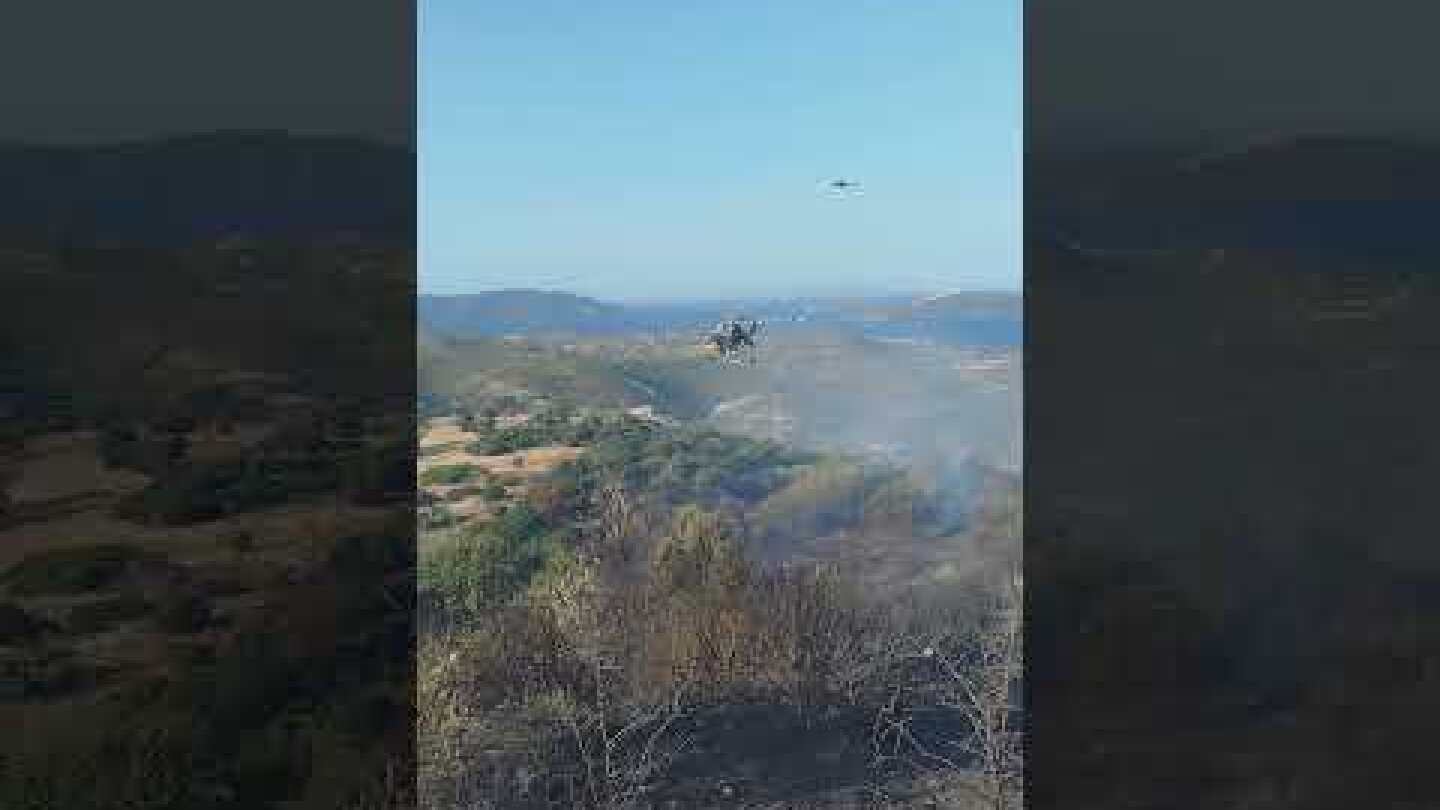 Φωτιά στους Τσακαίους Ευβοίας