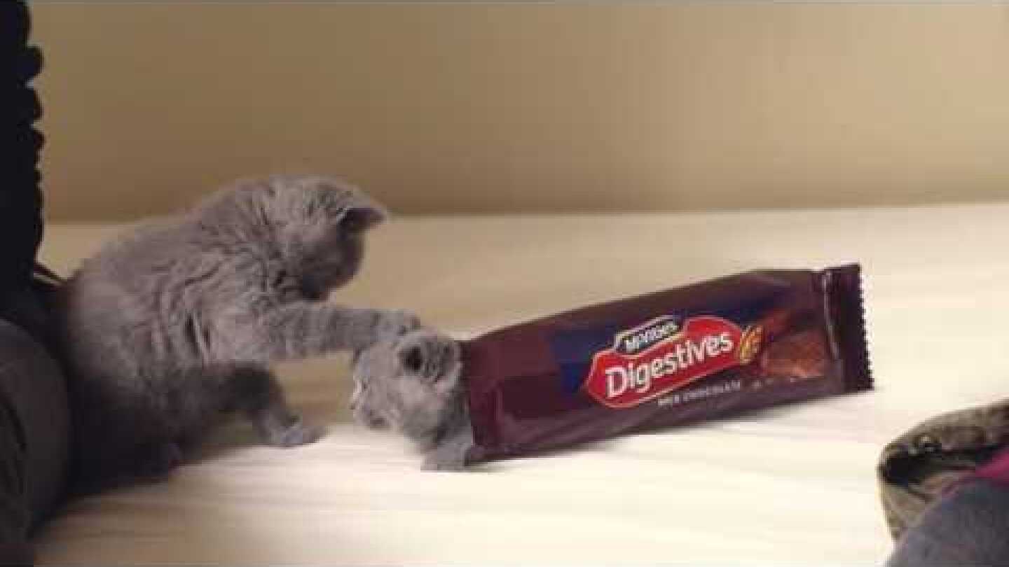 McVitie's Chocolate Digestives #sweeet
