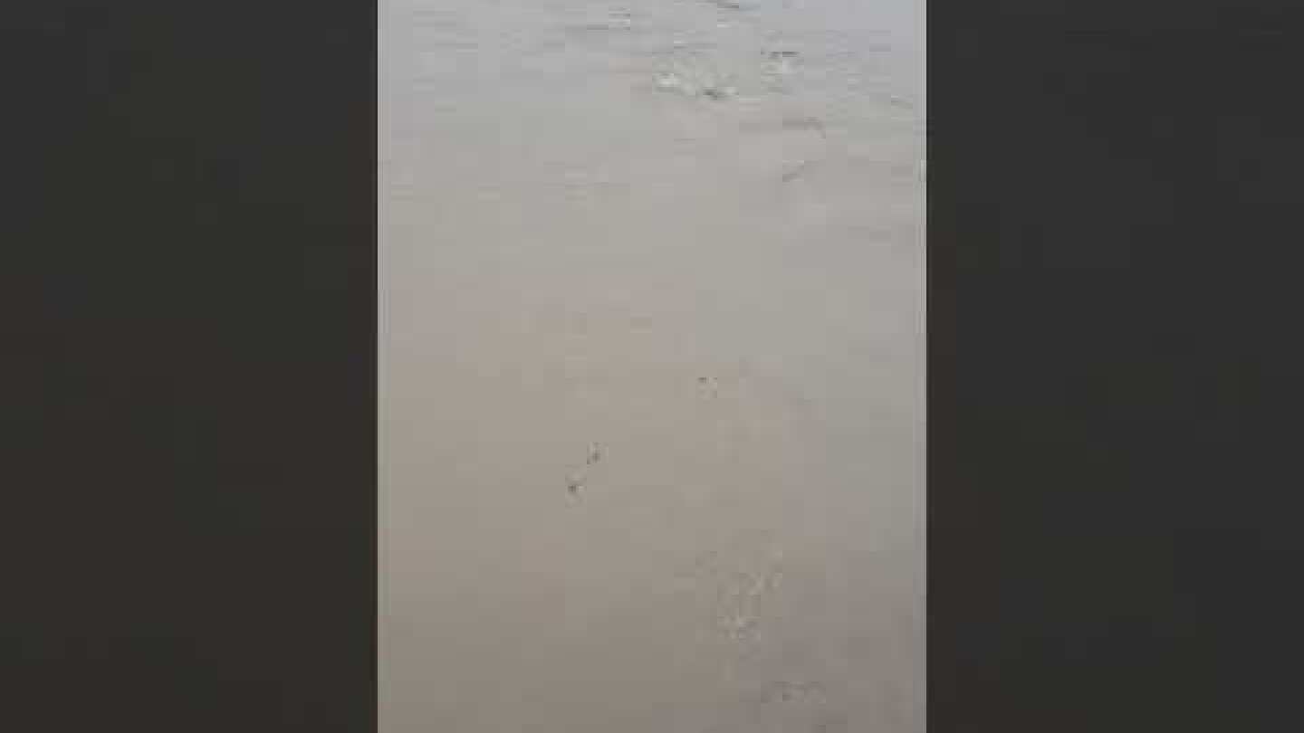 Πηνειός ποταμός στο Βαλομάνδρι