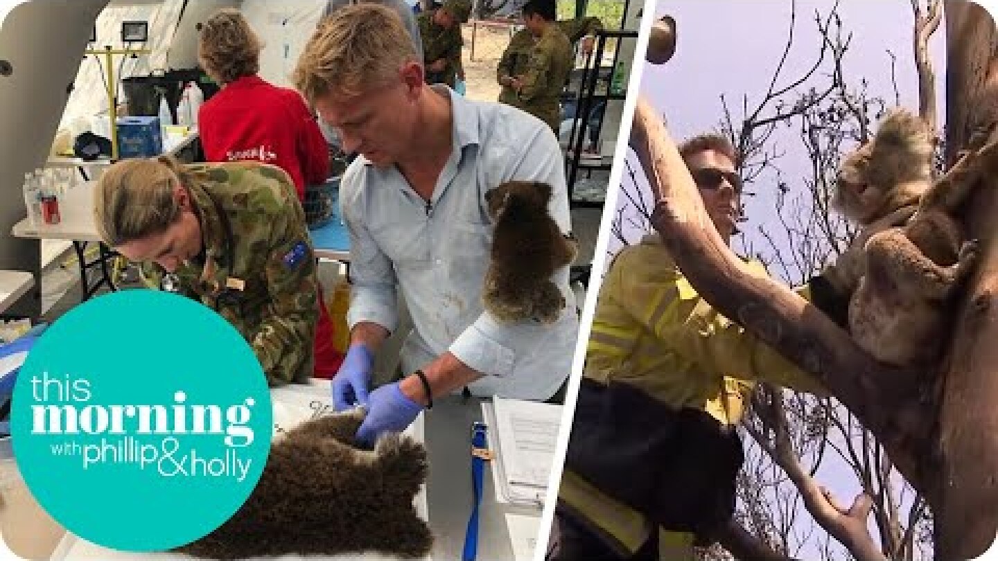 Dr Scott Saves Koalas on Kangaroo Island | This Morning