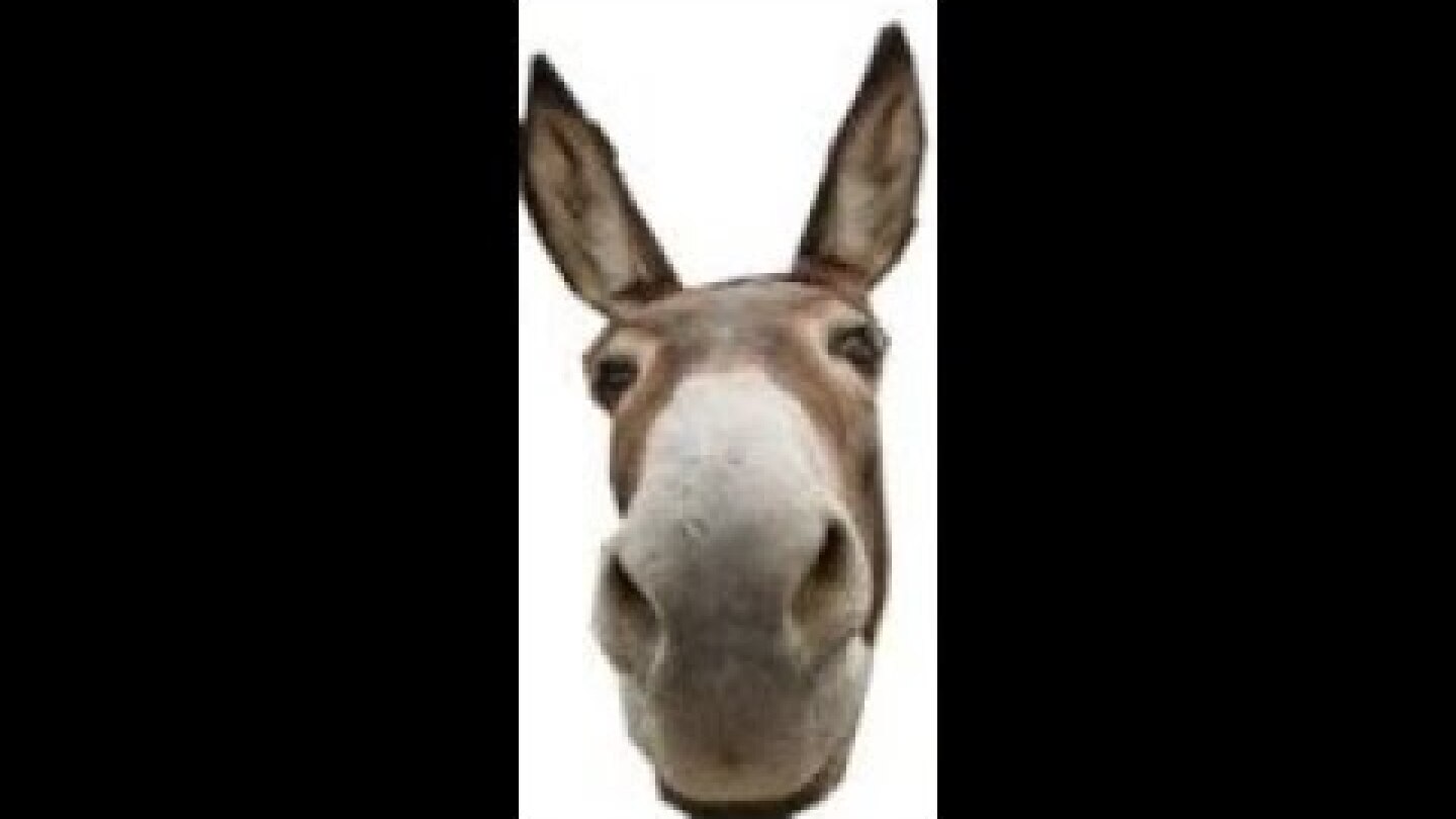 happy wednesday everyone