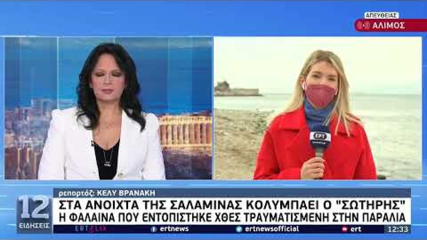 Στα ανοιχτά της Σαλαμίνας κολυμπάει ο «Σωτήρης» | 29/1/22 | ΕΡΤ