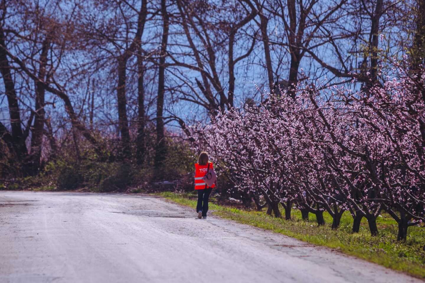 Ροδακινιές Βέροιας