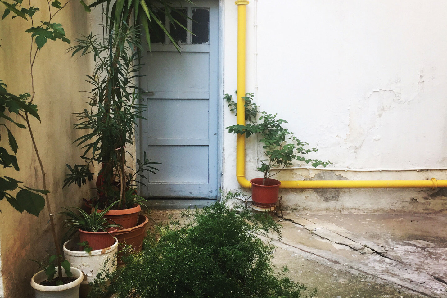 Ακάλυπτος πολυκατοικίας στην Κυψέλη