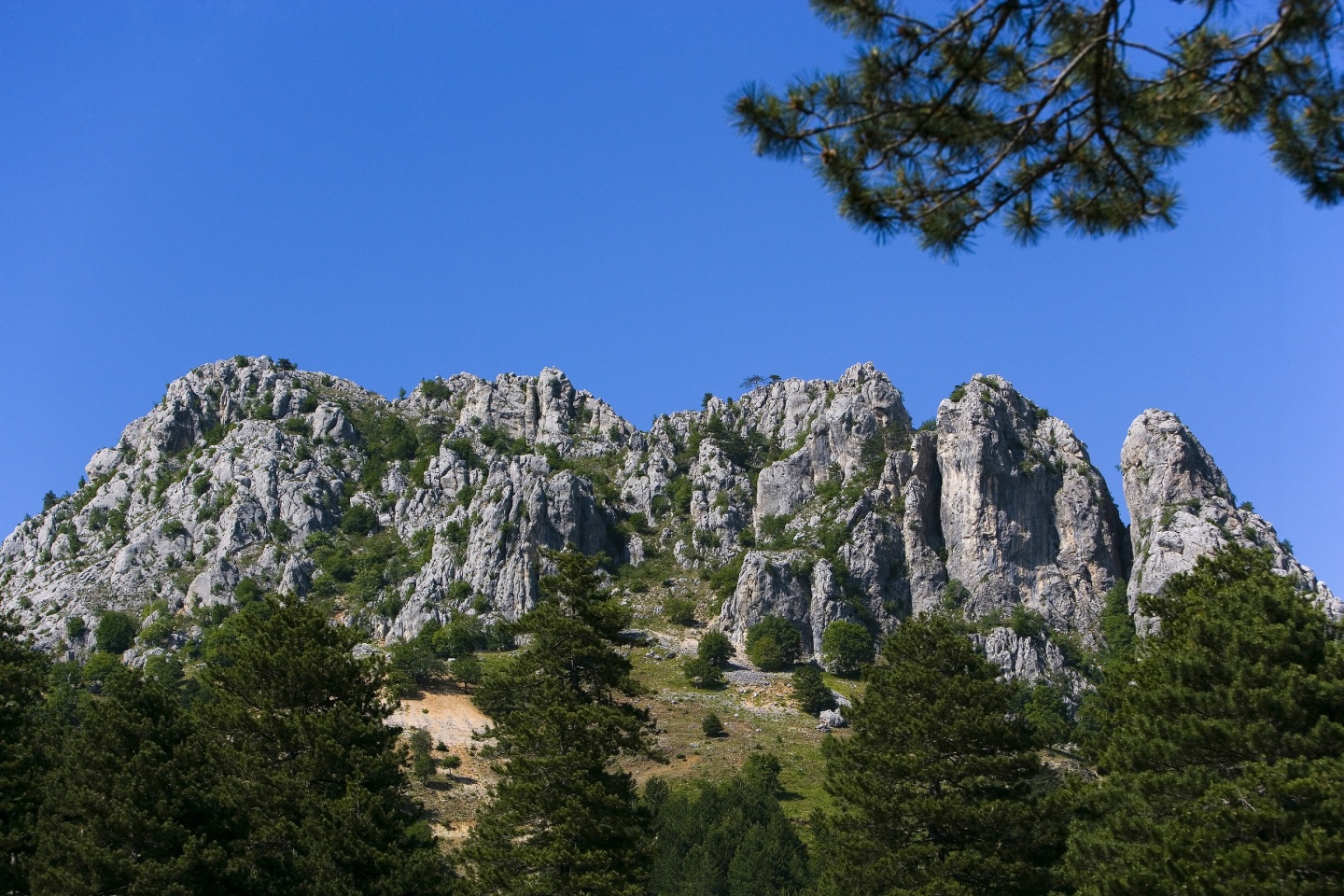 Ανάβαση στο βουνό Όρλιακας: Το οδοιπορικό του Γιώργου Ζαρζώνη σε ένα φωτογραφικό αφιέρωμα, στη νέα στήλη The Mountain Walker.