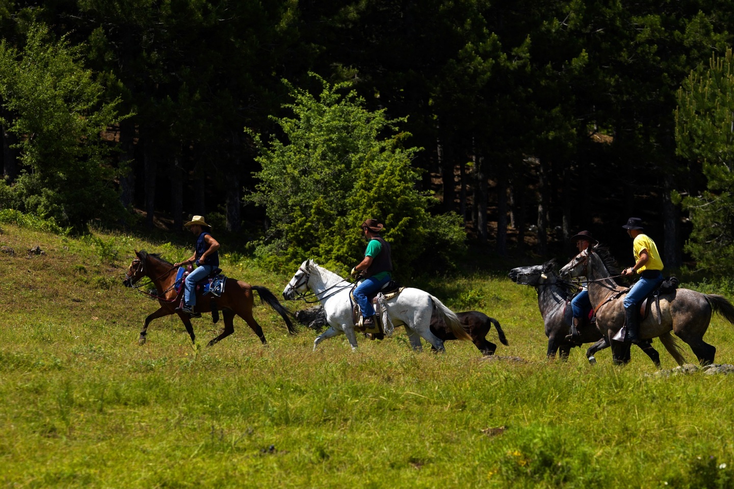 Ανάβαση στο βουνό Όρλιακας: Το οδοιπορικό του Γιώργου Ζαρζώνη σε ένα φωτογραφικό αφιέρωμα, στη νέα στήλη The Mountain Walker.