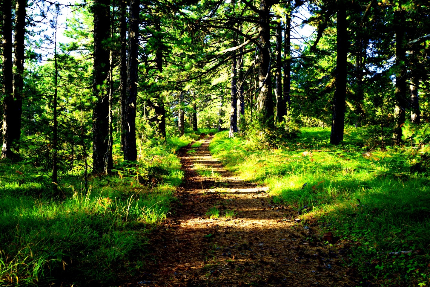 Ανάβαση στο βουνό Όρλιακας: Το οδοιπορικό του Γιώργου Ζαρζώνη σε ένα φωτογραφικό αφιέρωμα, στη νέα στήλη The Mountain Walker.