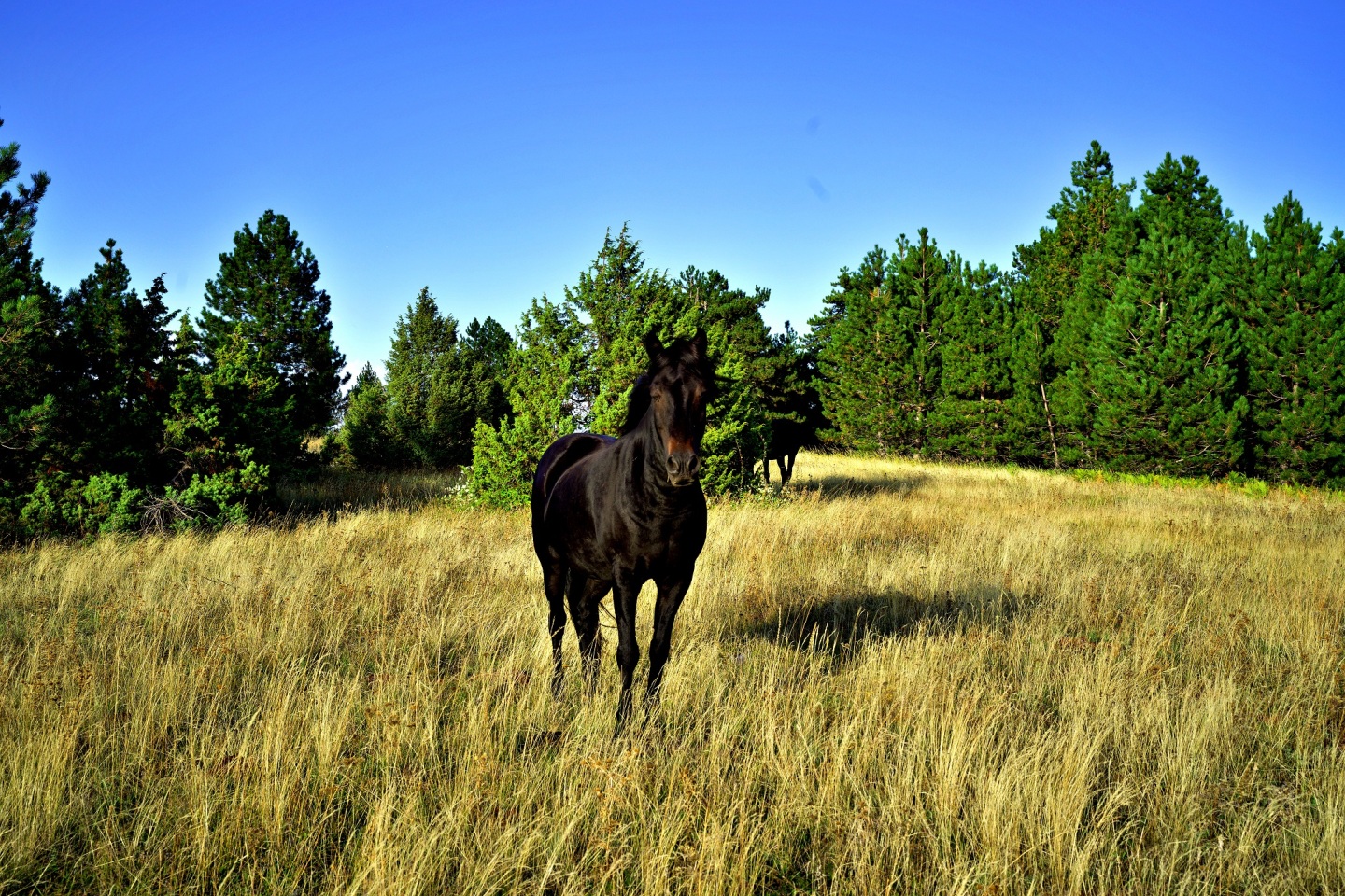 Ανάβαση στο βουνό Όρλιακας: Το οδοιπορικό του Γιώργου Ζαρζώνη σε ένα φωτογραφικό αφιέρωμα, στη νέα στήλη The Mountain Walker.