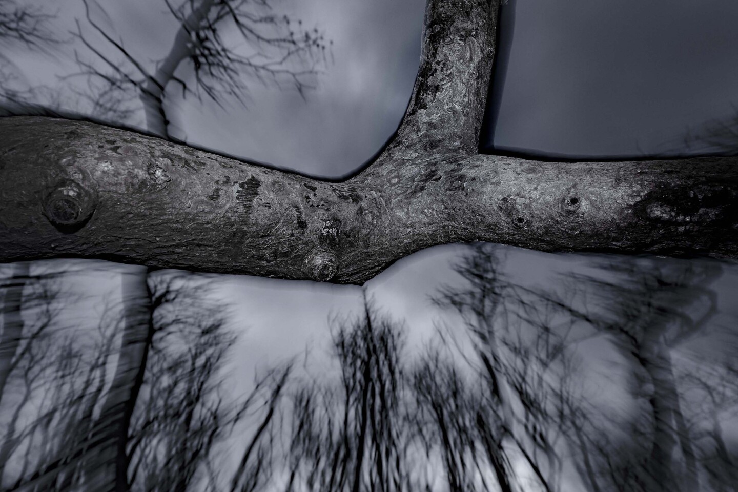 Από την έκθεση του Τάσου Βρεττού «Το αίνιγμα του δάσους» στο κτίριο «Νόμπελ» στο Χαλάνδρι