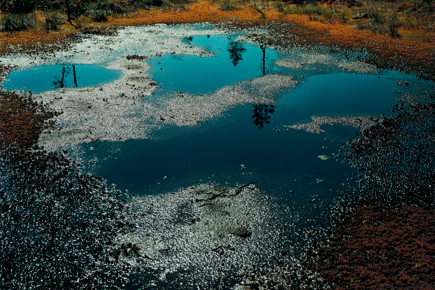 FROM BACK HOME 2008 © JH Engström