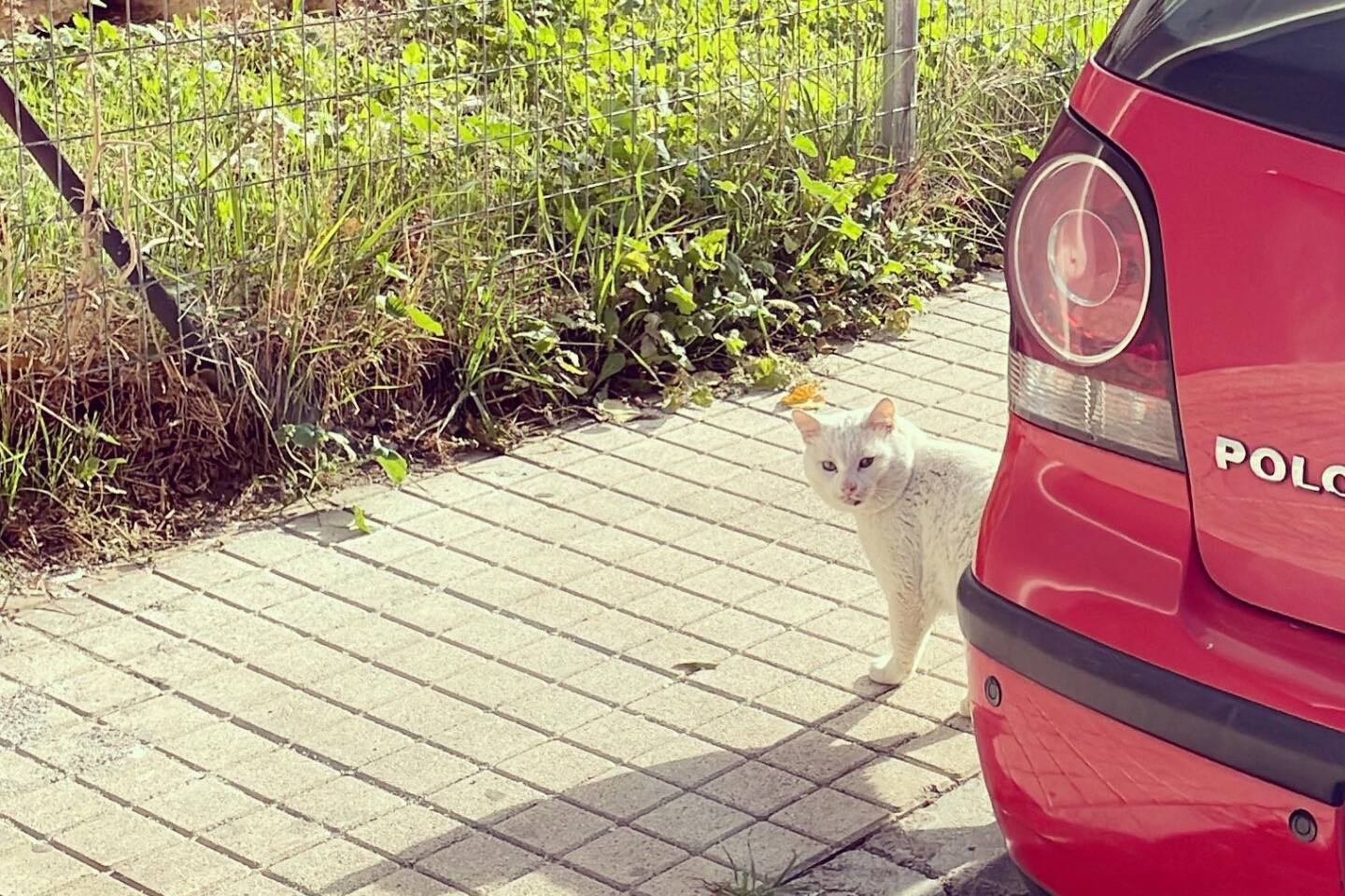 Η εβδομάδα στην Αθήνα σε 7 φωτογραφίες: Από τo Σύνταγμα στον Jack Savoretti