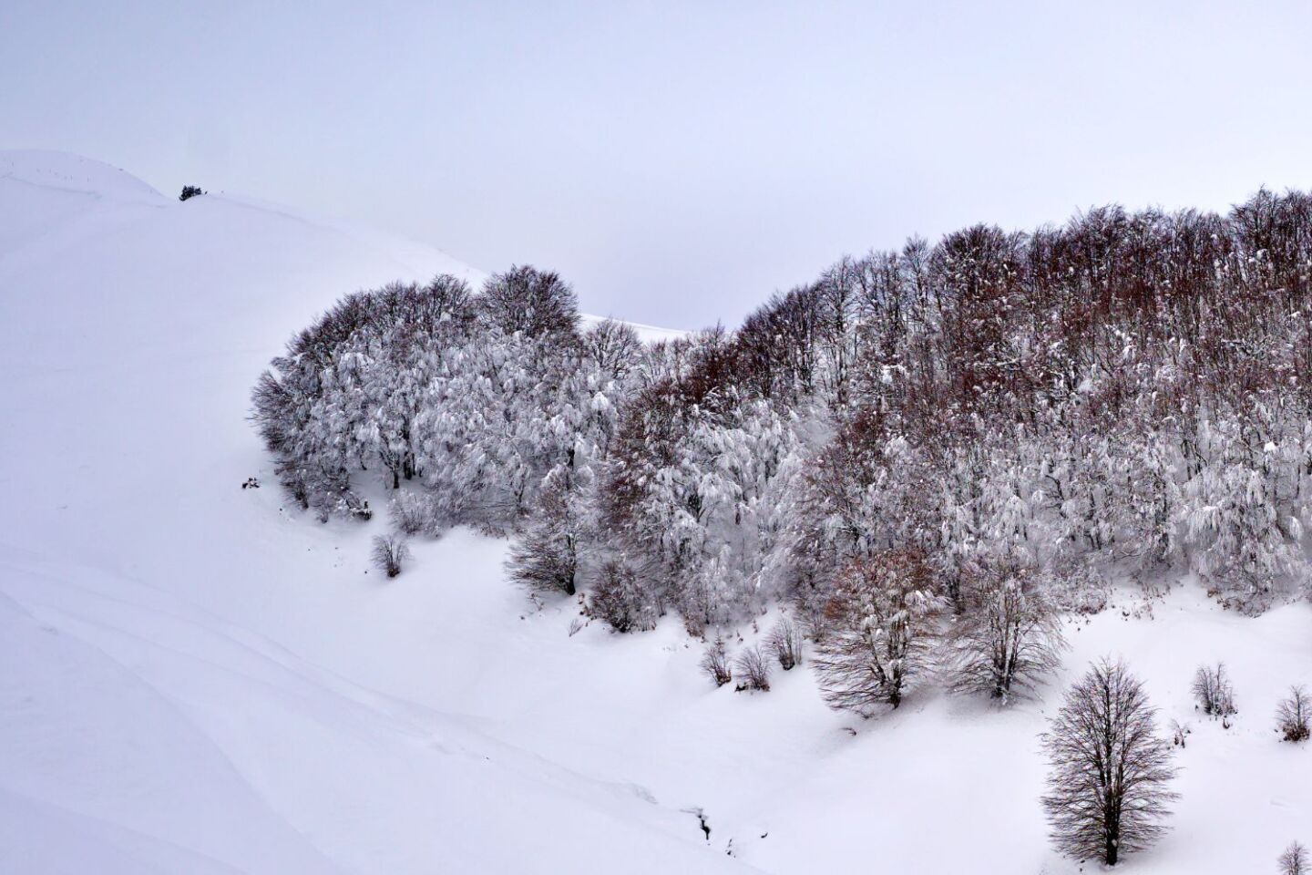 Ανήλιο, Ιωάννινα