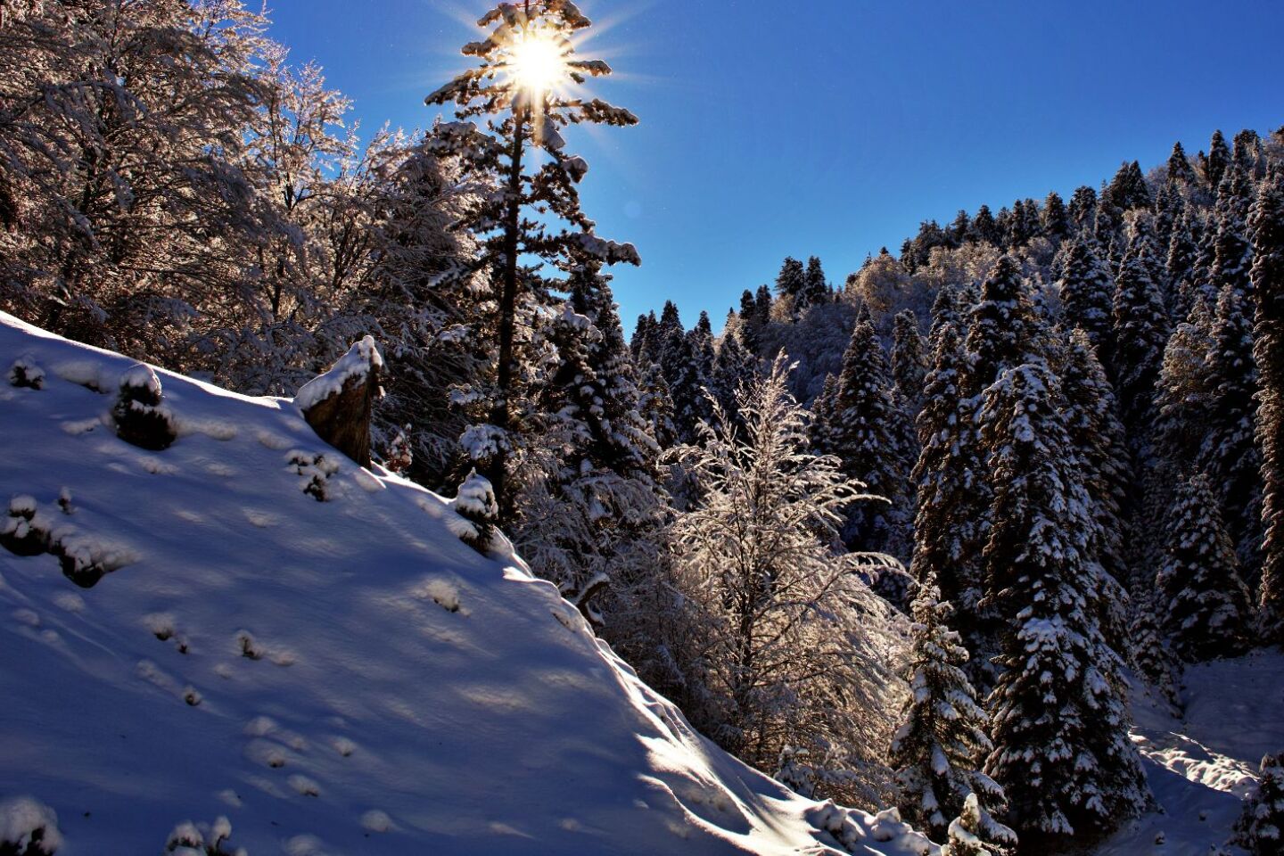 Ανήλιο, Ιωάννινα