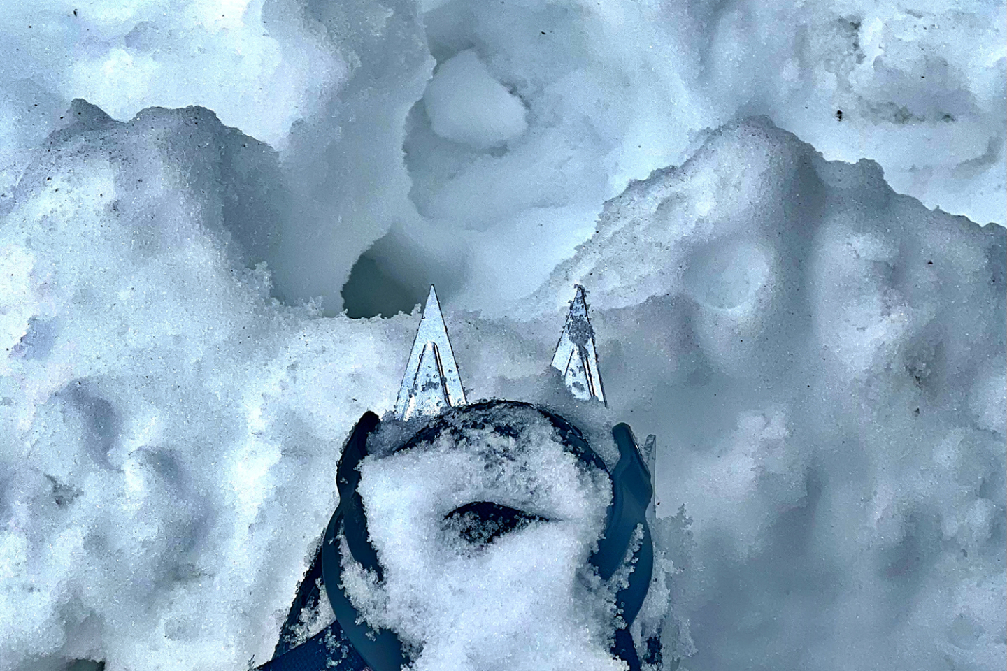 Ανάβαση στις χιονισμένες κορυφές του Ολύμπου